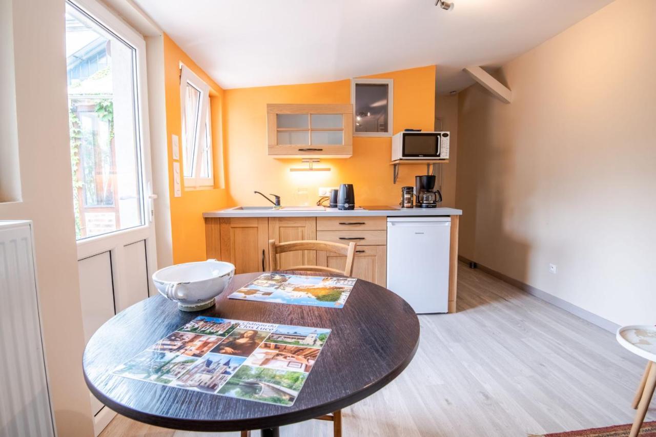 Maisonnette Hyper Centre Avec Terrasse Amboise Zewnętrze zdjęcie